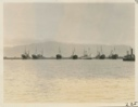 Image of Trawlers
